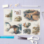 Waterverf Woodland Animals Tissuepapier (Craft)