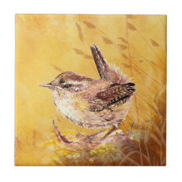 Waterverf Wren Bird Wildlife Art Tegeltje