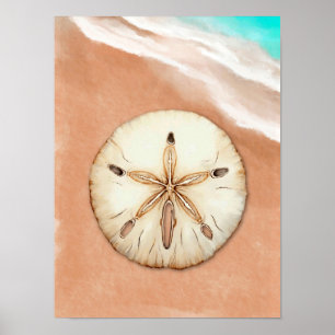 Waterverf zanddollar op het strand poster