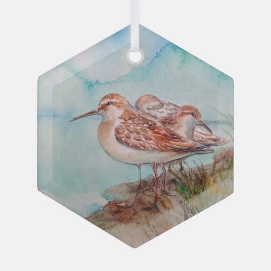 Waterverf Zee Sandpiper Shore Bird Ocean Glas Ornament (Voorkant)