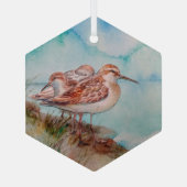 Waterverf Zee Sandpiper Shore Bird Ocean Glas Ornament (Achterkant)
