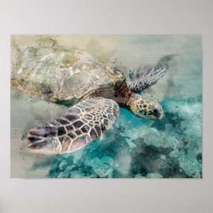 Waterverf Zee schildpad Poster