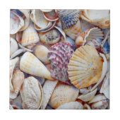 Waterverf zeebaars tegeltje (Voorkant)