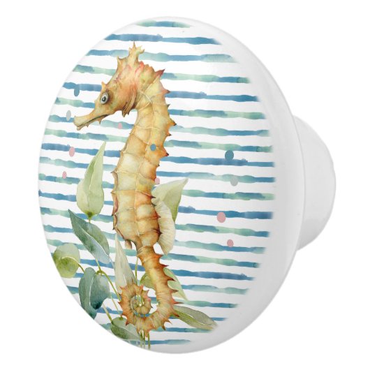 WATERVERF ZEEPAARDJE, STRAND, KUSTGEBIED KERAMISCHE KNOP (Rechts)