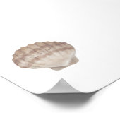 waterverf  zeeschelp print (Hoek)