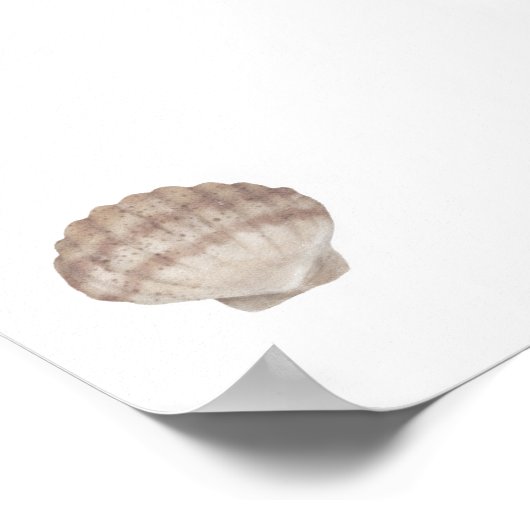 waterverf zeeschelp print (Hoek)