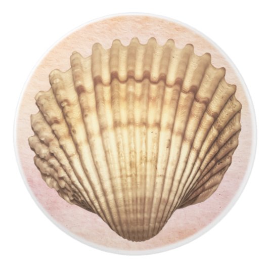 Waterverf zeeschelp Schattigee nautische achtergro Keramische Knop (Voorkant)