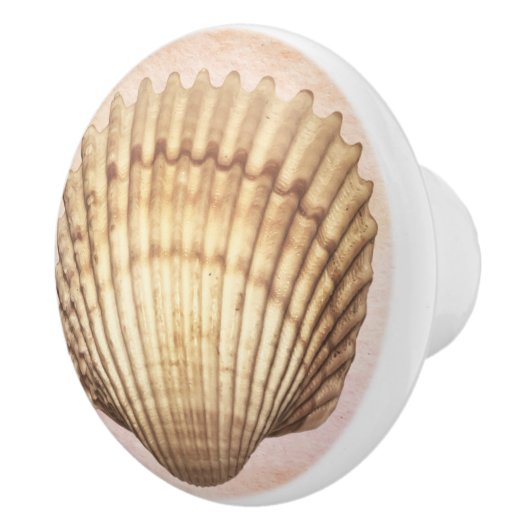 Waterverf zeeschelp Schattigee nautische achtergro Keramische Knop (Rechts)