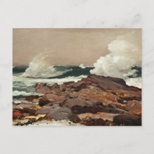  Waterverf Zeesoorten Wilde Zeeen Briefkaart