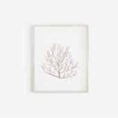 Waterverf zeewier print