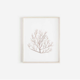 Waterverf zeewier print