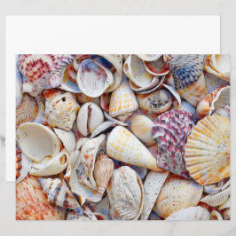 Waterverf zeezeilschelpen zeestrand