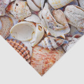 Waterverf zeezeilschelpen zeestrand tissuepapier (Detail)