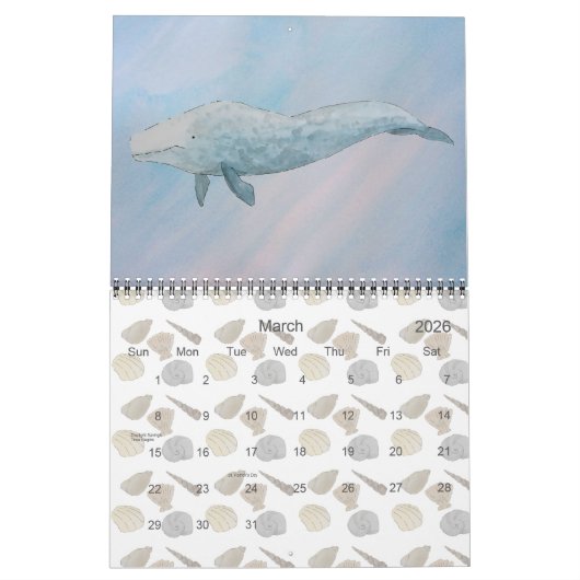 Waterverf zeezoogdieren kalender (Mar 2026)