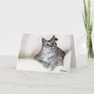 Waterverf Zilla Kaart