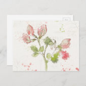 Waterverf zoete peul briefkaart (Voorkant / Achterkant)