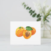 Waterverf zomerabrikozen briefkaart (Staand voorkant)