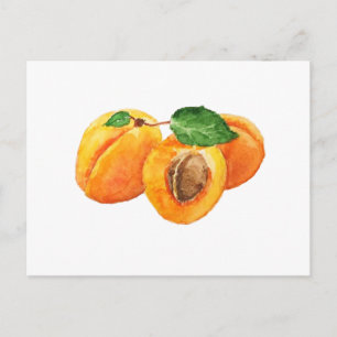 Waterverf zomerabrikozen briefkaart