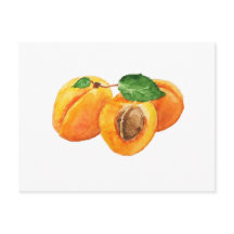 Waterverf zomerabrikozen