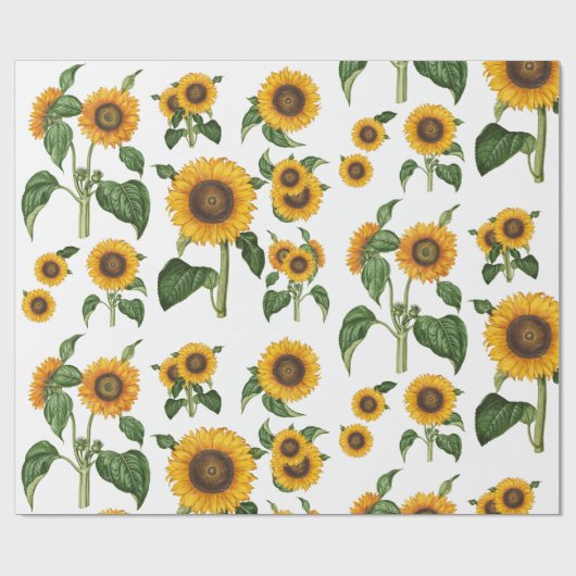 Waterverf Zonnebloemen Botanisch gebladerte groen Cadeaupapier (Vlak)