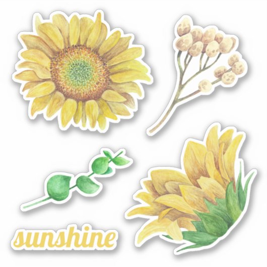 Waterverf zonnebloemen. Rustisch land floral Sticker (Voorkant)