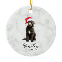 Waterverf Zwart Witte Tuxedo Goldendoodle