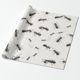 Waterverf Zwarte Mieren Minimalistisch Insect Patr Cadeaupapier