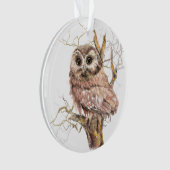 Waterverf Zww Whet Owl Bird Natuur Art Ornament (voorkant)