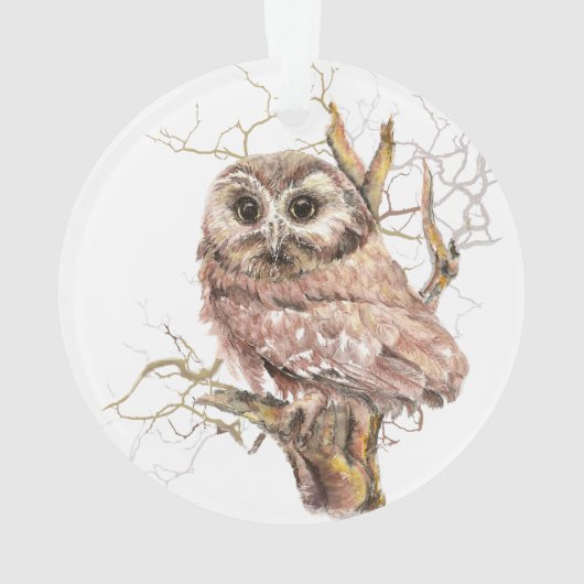 Waterverf Zww Whet Owl Bird Natuur Art Ornament (achterkant)