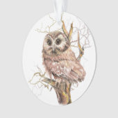 Waterverf Zww Whet Owl Bird Natuur Art Ornament (voorkant)
