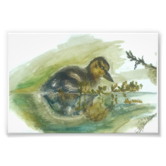 Waterverfdruk voor eendje foto afdruk