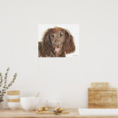 Waterverfschilderij werkende Cocker Spaniel hond Poster (Keuken)