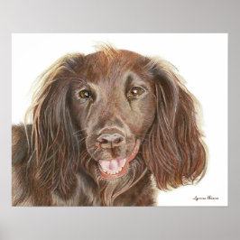 Waterverfschilderij werkende Cocker Spaniel hond Poster