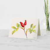 Waterverfschildering van rozenbottels kaart (Voorkant)