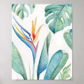 Waterverven van Bird of Paradise Florida Poster (Voorkant)