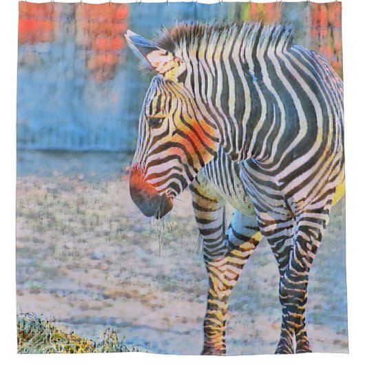 WATERVERVEN - ZEBRA DOUCHEGORDIJN (Voorkant)