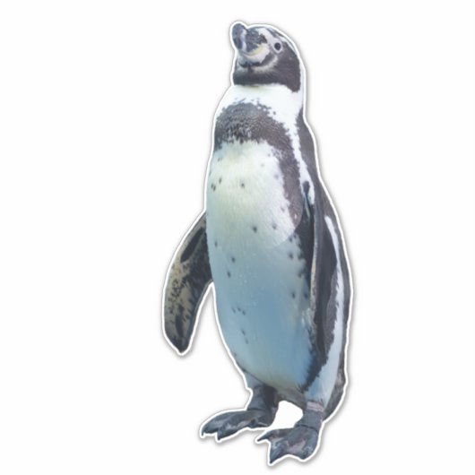 Watervliegloze vogel Pinguïn Sticker (Voorkant)