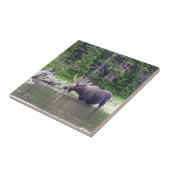 Watervoerende mazen tegeltje (Zijkant)