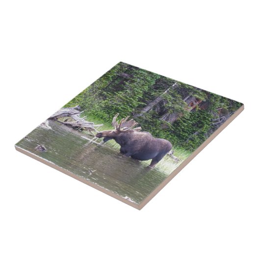 Watervoerende mazen tegeltje (Zijkant)