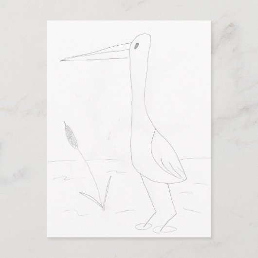Watervogel Briefkaart (Voorkant)
