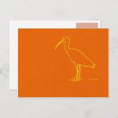 Watervogel Briefkaart (Voorkant / Achterkant)