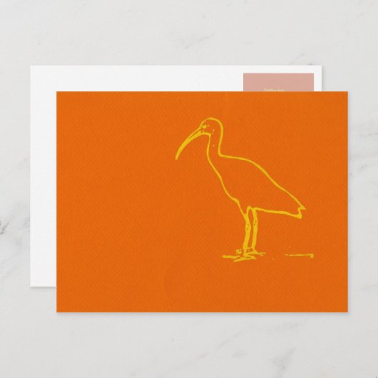 Watervogel Briefkaart (Voorkant / Achterkant)