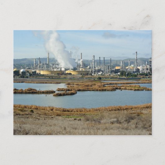 Watervogelpark en Shell Refinery Briefkaart (Voorkant)