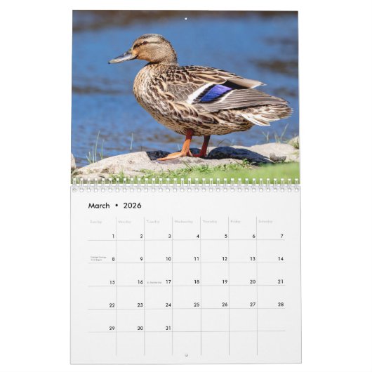 Watervogels 2026 kalender (Mar 2026)