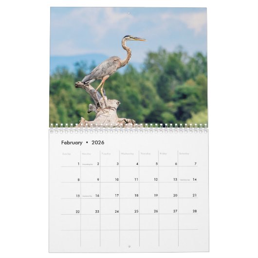 Watervogels 2026 kalender (Feb 2026)