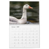 Watervogels 2026 kalender (Jan 2027)