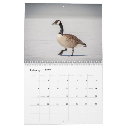 Watervogels 2026 kalender (Feb 2026)