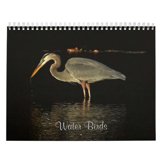 Watervogels 2 kalender (Hoes)