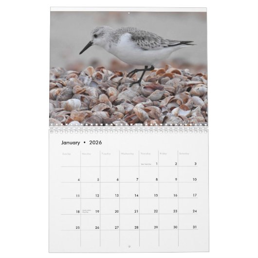 Watervogels 2 kalender (Jan 2026)