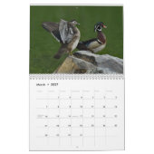 Watervogels 2 kalender (Mar 2027)